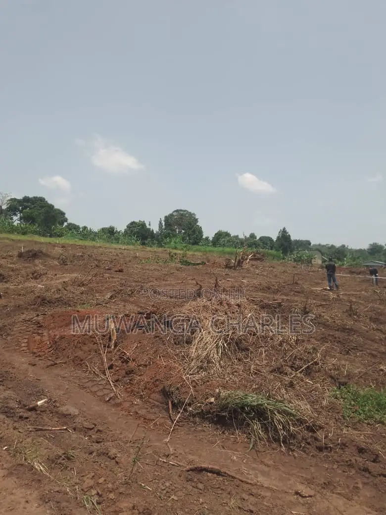 Plot's for Sale in Kiwenda