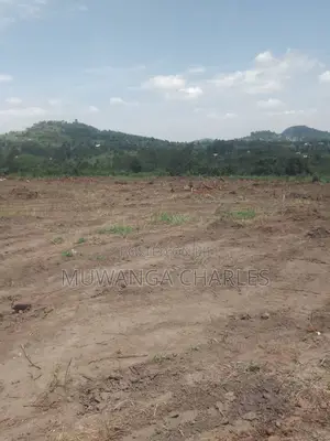 Plot's for Sale in Kiwenda