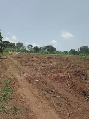 Plot's for Sale in Kiwenda