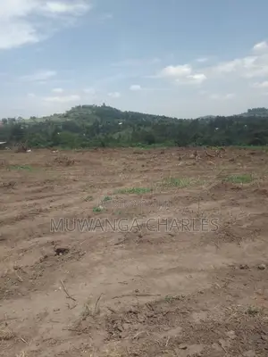 Plot's for Sale in Kiwenda