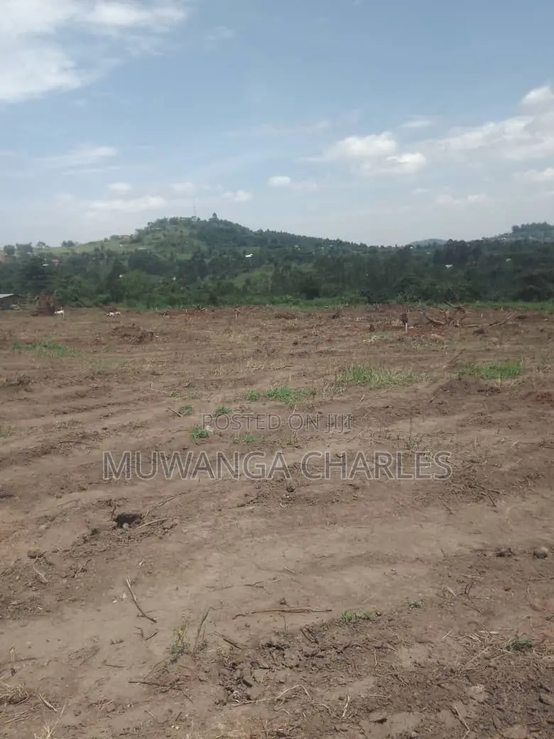 Plot's for Sale in Kiwenda