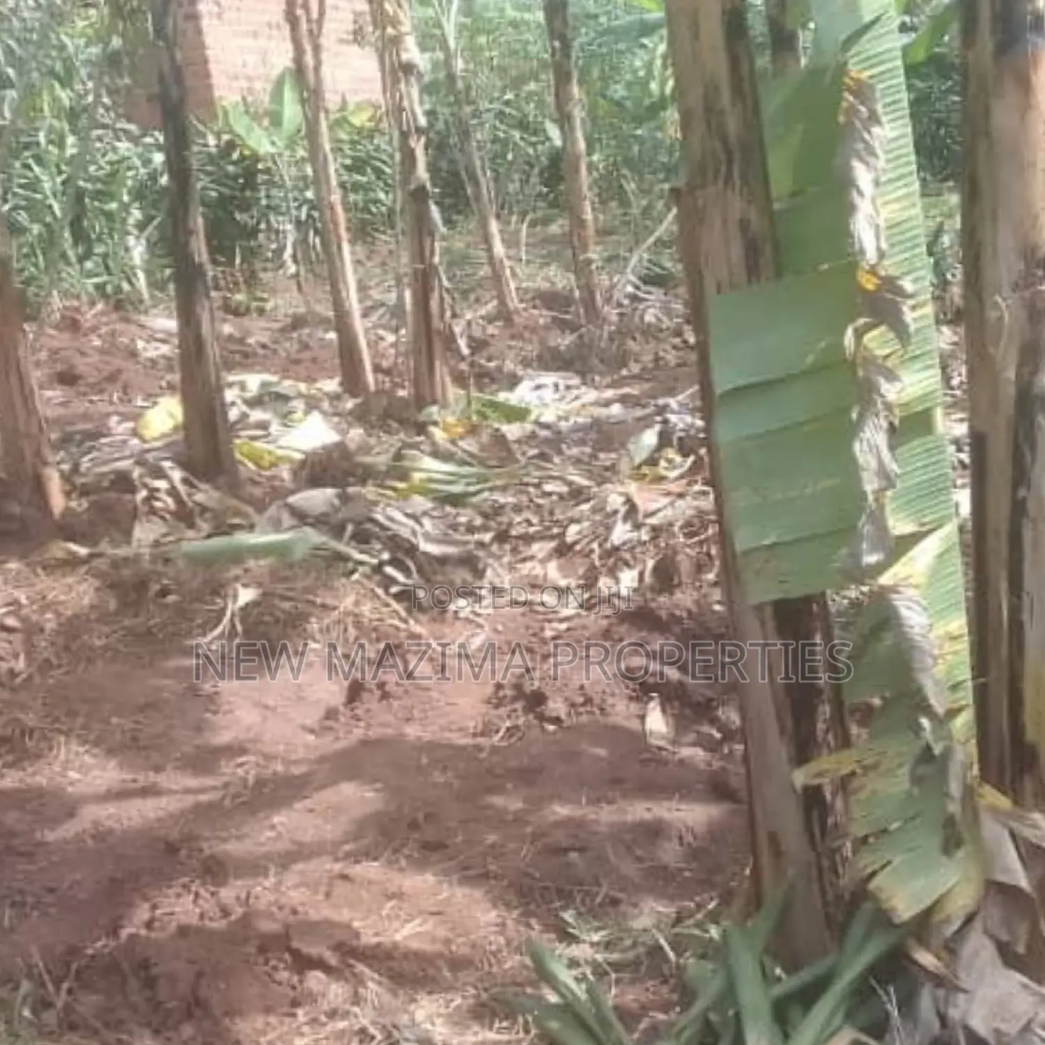 Very Beautiful Plot Ready Private Title Katende Masaka Rd