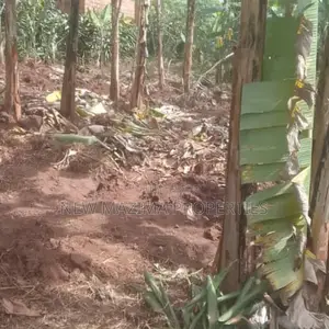 Very Beautiful Plot Ready Private Title Katende Masaka Rd