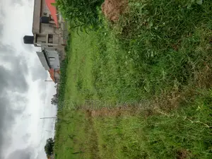 Affordable Plots in Kira on Sell