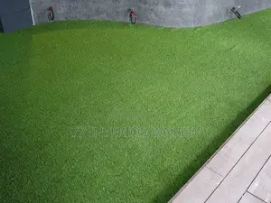 Decorative Grass Carpets/ Artificial Grass Carpets