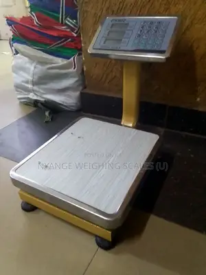 60kg/0.5g TCS Fair Weight Scales (10)