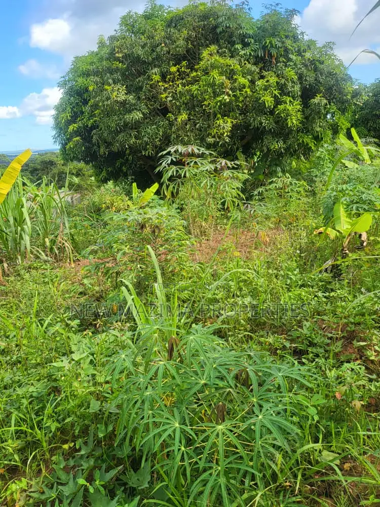 Verybeautiful 100 Ft X 100 Ft With Lake View Onsale Nakawuka