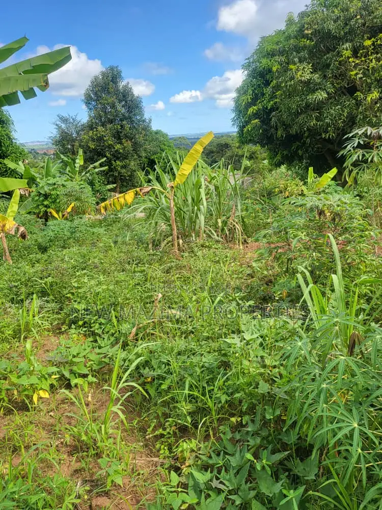 Verybeautiful 100 Ft X 100 Ft With Lake View Onsale Nakawuka