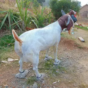 Goat Sculptures