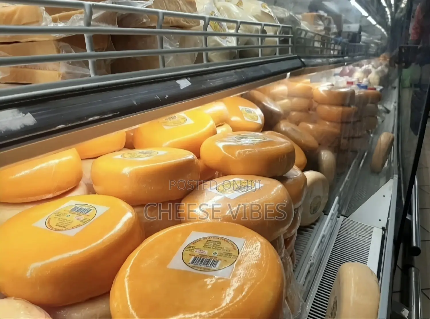 Gouda, Cheddar, Mozzarella Cheese Per 1kg
