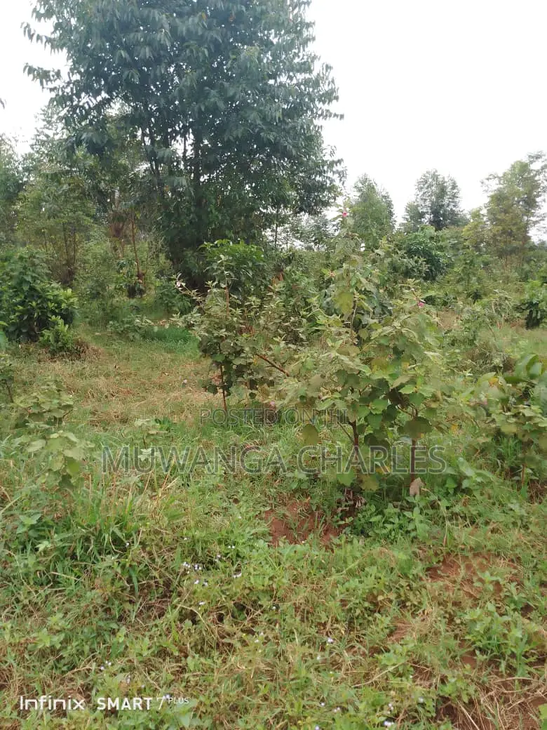 Land for Sale in Kamira