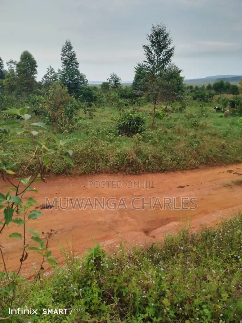 Land for Sale in Kamira