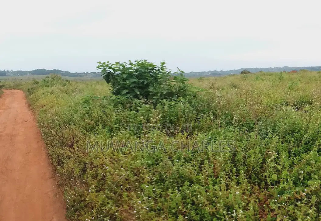 Land for Sale in Kamira