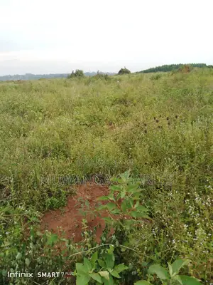 Land for Sale in Kamira