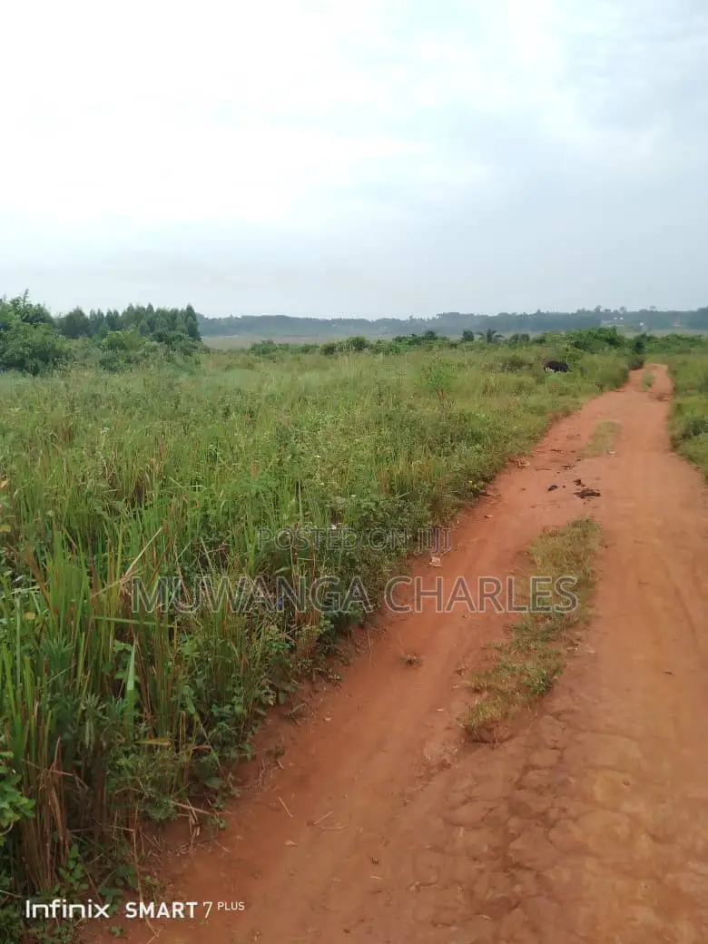 Land for Sale in Kamira