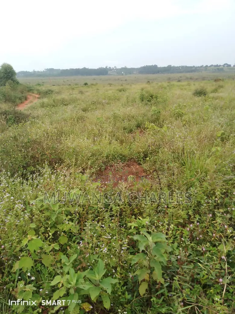 Land for Sale in Kamira
