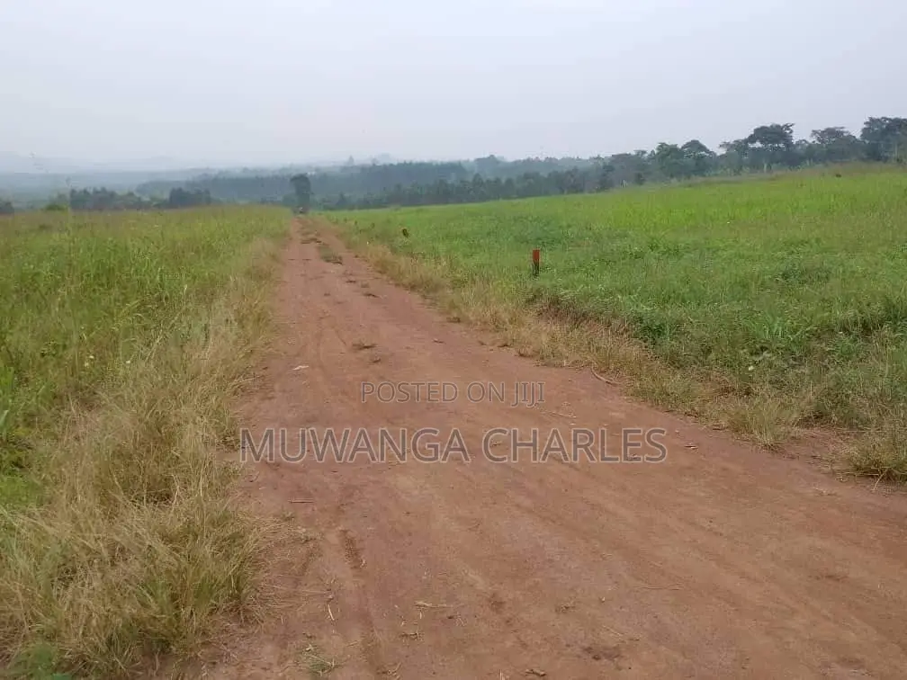 Plot's Available for Sale at Busiika