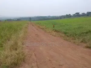 Plot's Available for Sale at Busiika