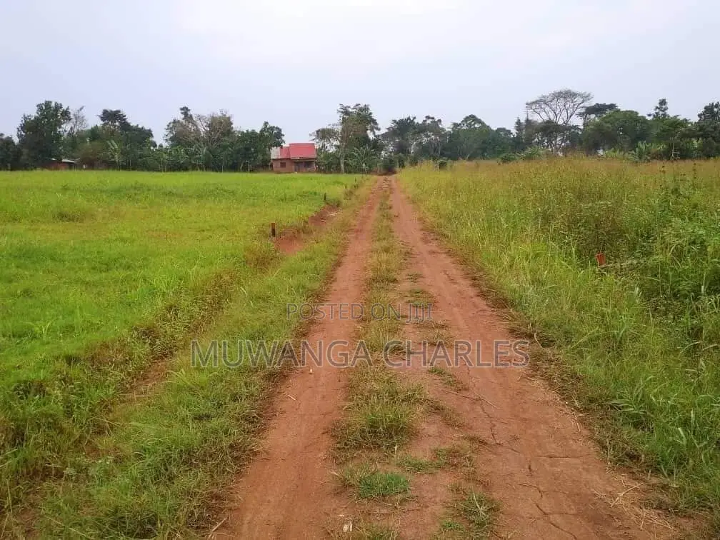 Plot's Available for Sale at Busiika