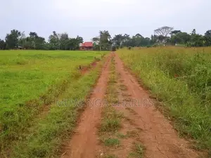 Plot's Available for Sale at Busiika