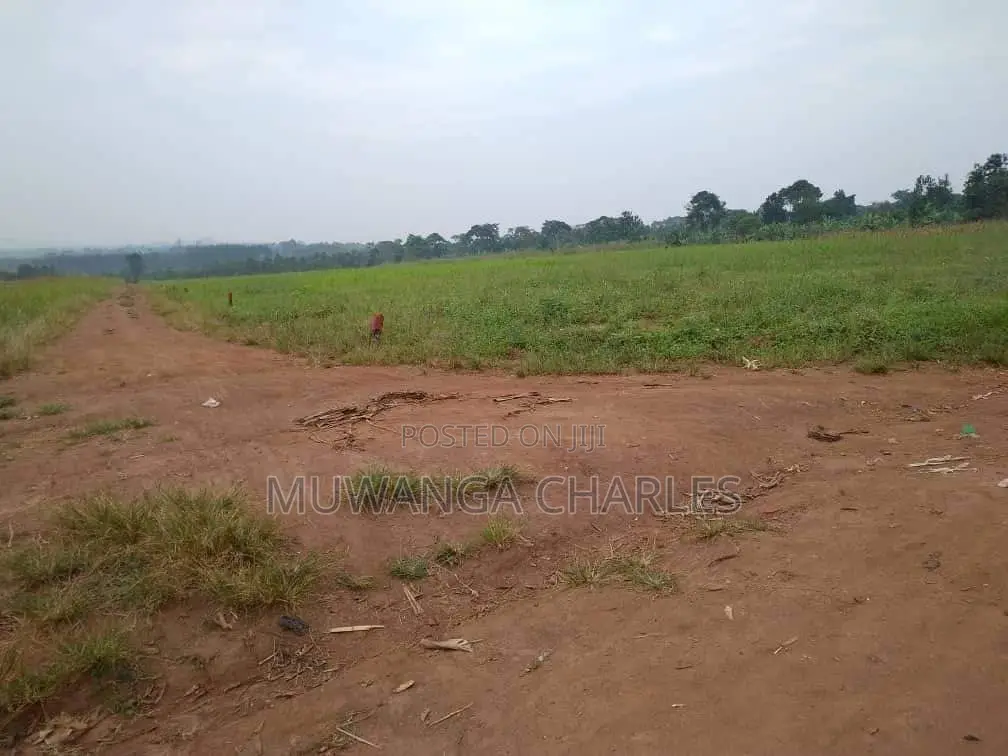 Plot's Available for Sale at Busiika