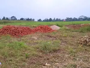 Plot's Available for Sale at Busiika