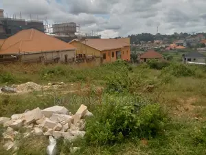 Quick Sale Nice Plot for Sale in Kitikifumba