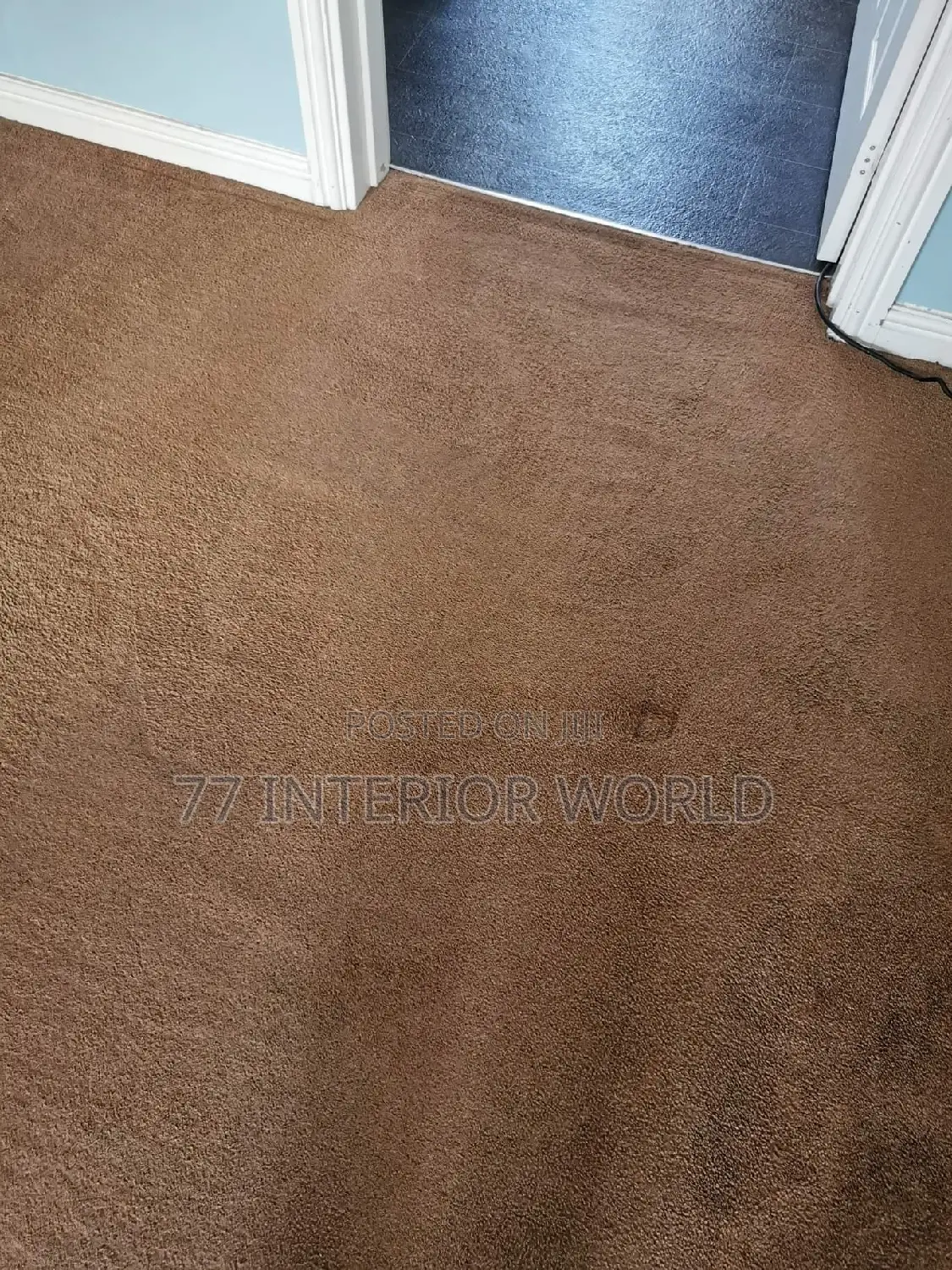 Soft Home Wall to Wall Carpets/ Woolen Carpets