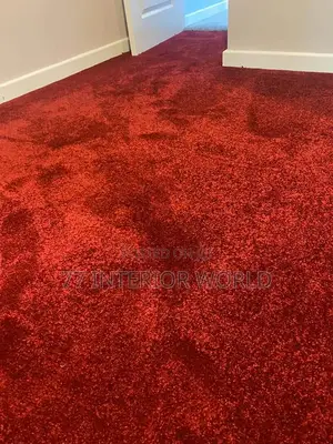 Wall to Wall Carpets/ Woolen