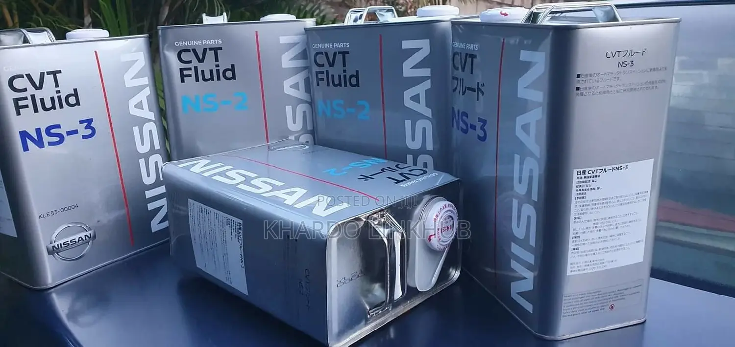 Nissan Ns-2