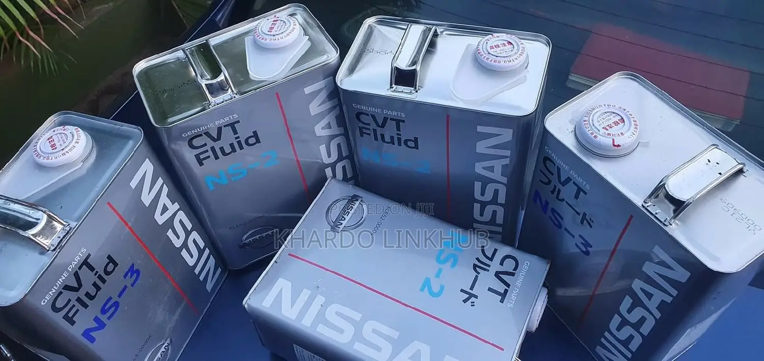 Nissan Ns-2