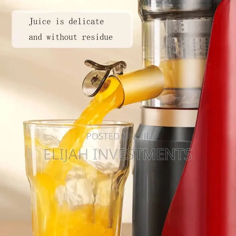 Hoffman’S Slow Juice Extractor Cold Press Fruit