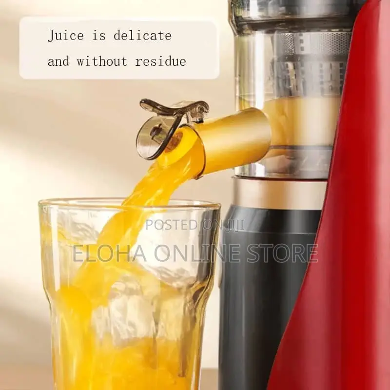 Hoffmans Slow Juicer