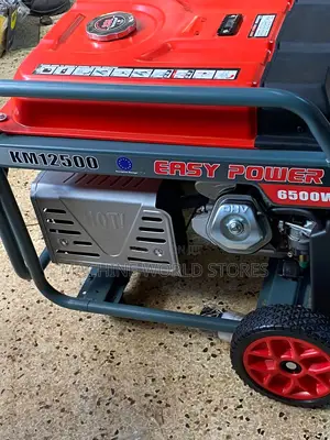 Gasoline Easy Power Generator 6500W
