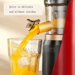 Hoffman Slow Juicer HM - 635
