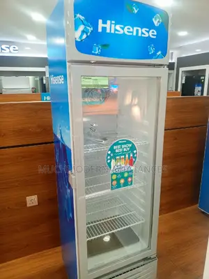 Hisense 300 Litres Chiller