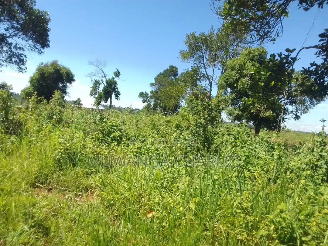 5acres of Land for Sale in Buwambo
