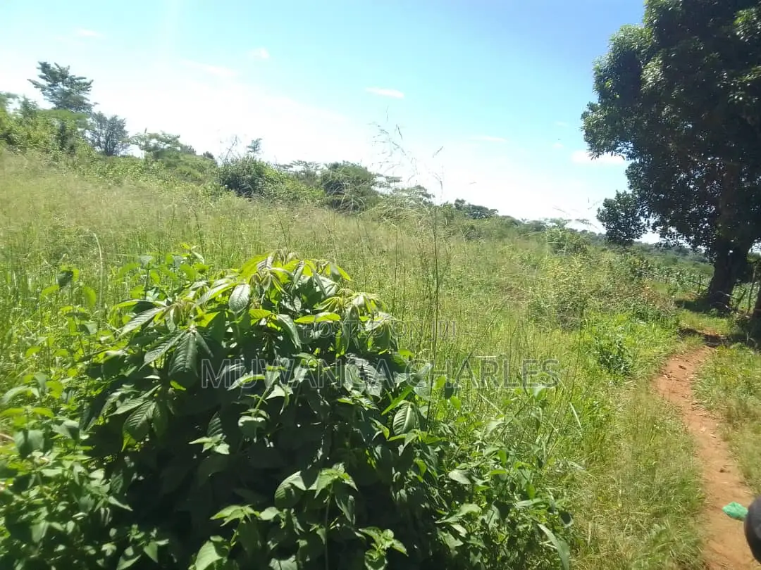5acres of Land for Sale in Buwambo