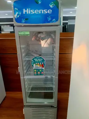 Hisense 300 Litres Chiller