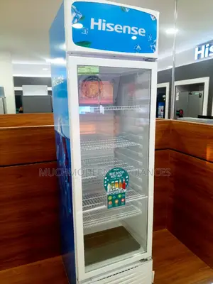 Hisense 370 Liters Chiller