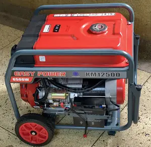 Generator 6.5 Kva Easy Power Italy