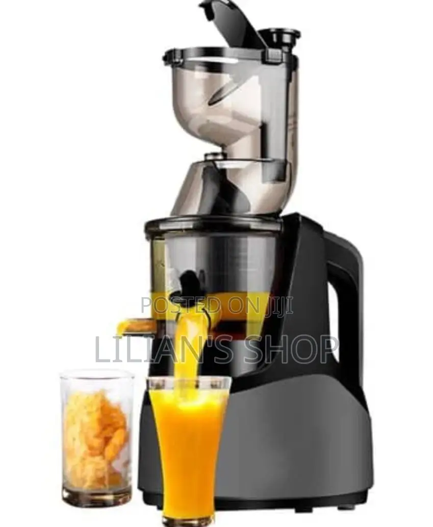 Hoffman Electric Slow Juicer