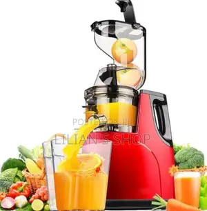 Hoffman Electric Slow Juicer