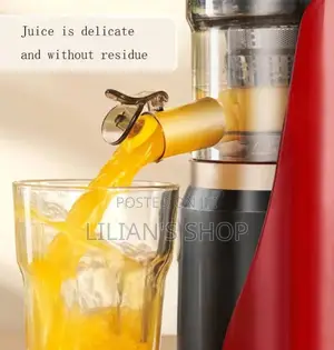Hoffman Electric Slow Juicer
