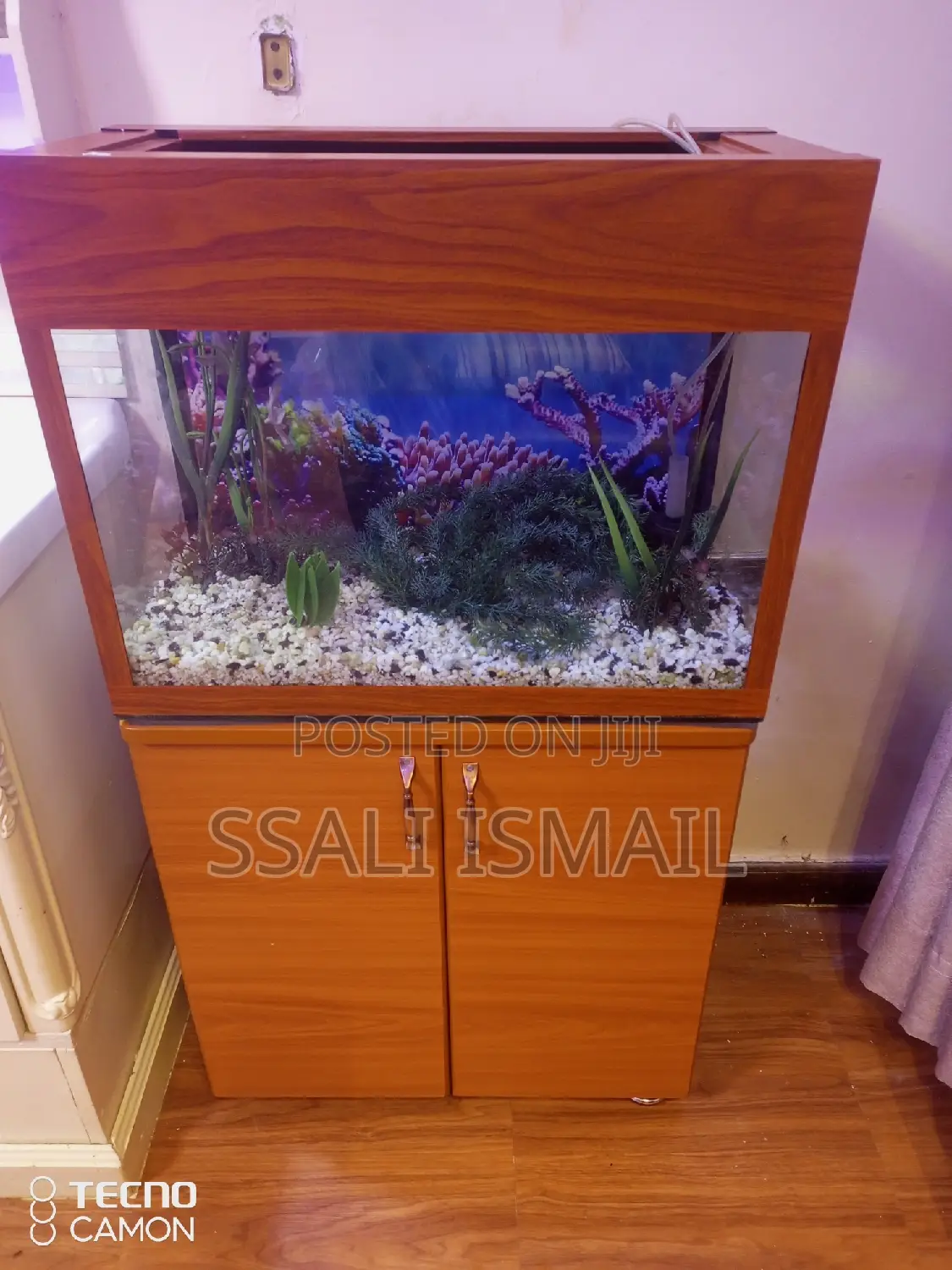 Neat Aquarium in a Brown Color