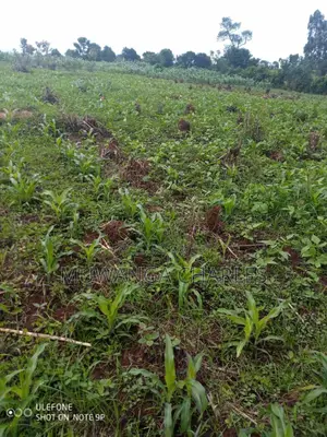 Plot's for Sale in Kira