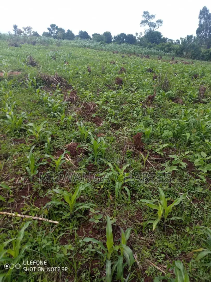 Plot's for Sale in Kira