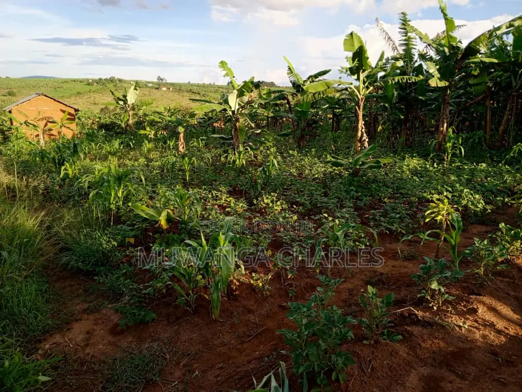 Plot's for Sale in Kira