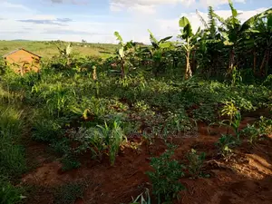 Plot's for Sale in Kira