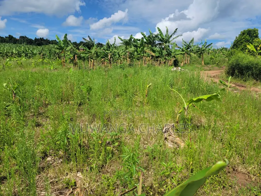Plot's for Sale in Kira